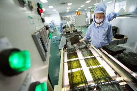 提質增效拓市場 我國企業加緊生產對日出口食品